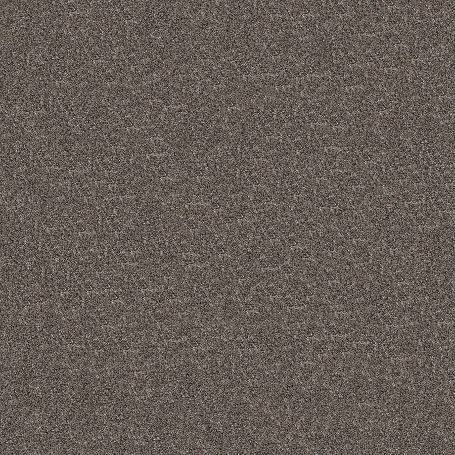 Shaw Floors - Carpet - Pet Perfect+ Collection - Refined Beauty - 12' - Flint