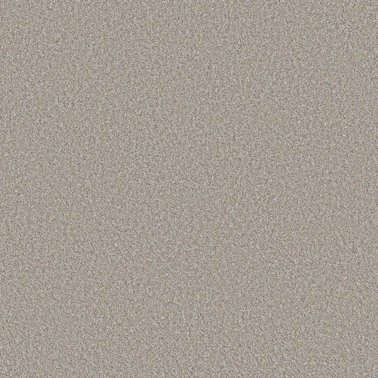Shaw Floors - Carpet - Pet Perfect+ Collection - Refined Beauty - 12' - Silver Mist