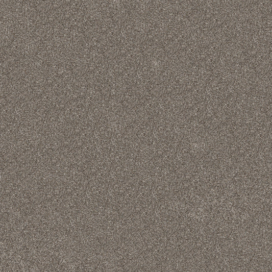 Shaw Floors - Carpet - Pet Perfect+ Collection - Refined Beauty - 12' - Coffee