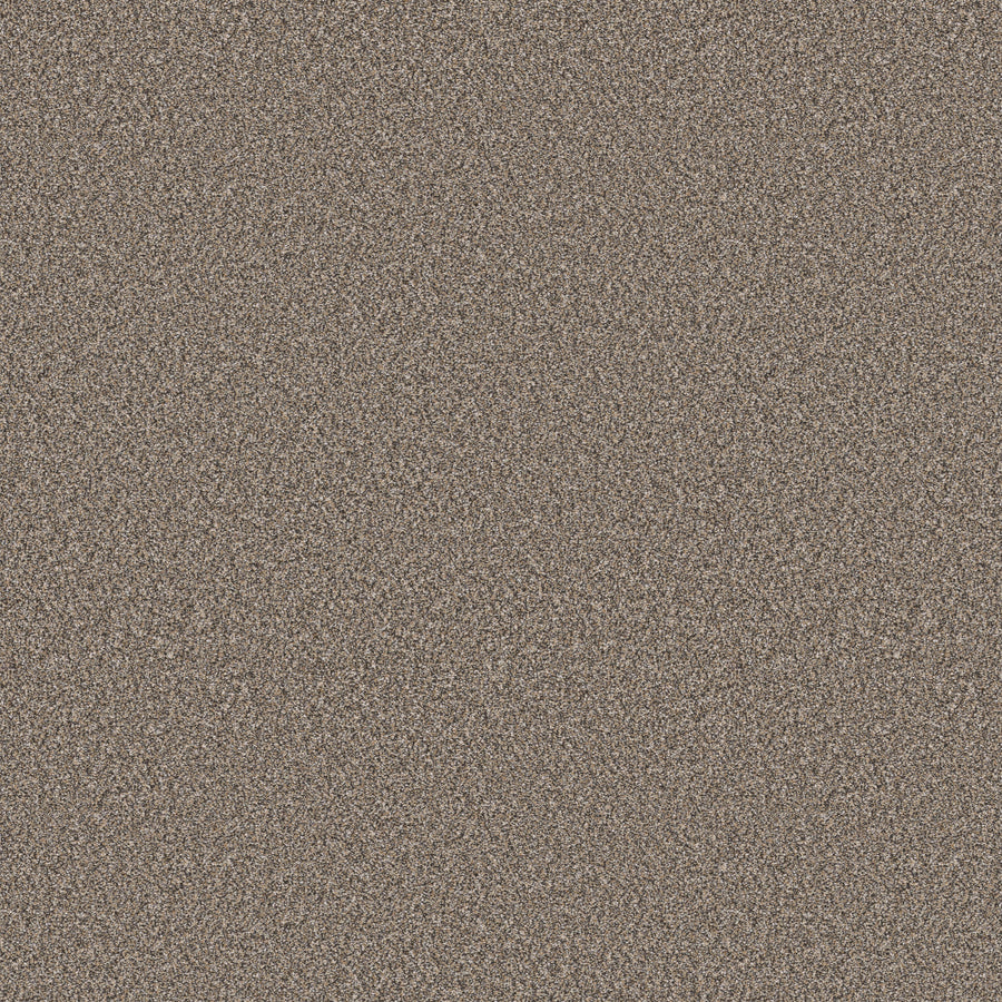 Shaw Floors - Carpet - Pet Perfect+ Collection - Refined Beauty - 12' - Prairie