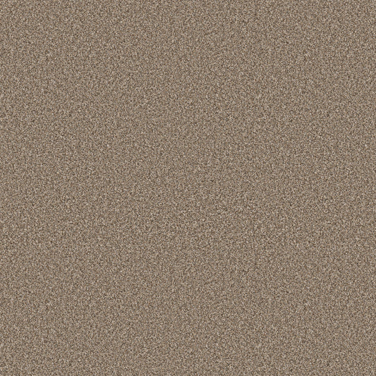 Shaw Floors - Carpet - Pet Perfect+ Collection - Refined Beauty - 12' - Rodeo