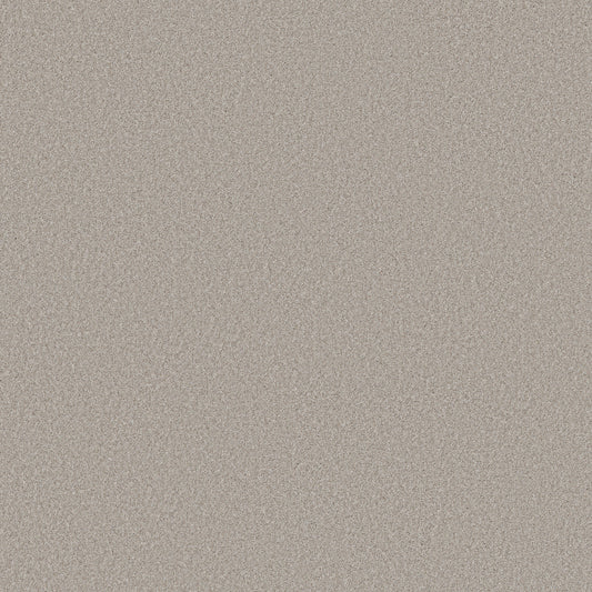 Shaw Floors - Carpet - Simply the Best Values Collection - Wonderland I - 12' - Antiquity