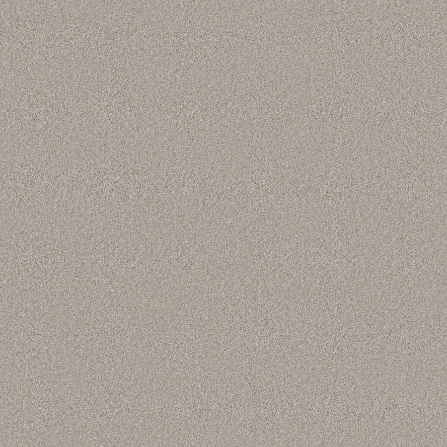 Shaw Floors - Carpet - Simply the Best Values Collection - Wonderland I - 12' - Antiquity