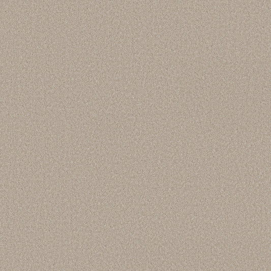 Shaw Floors - Carpet - Simply the Best Values Collection - Wonderland I - 12' - Outer Banks