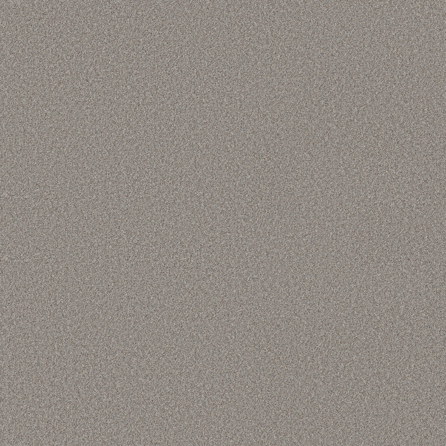 Shaw Floors - Carpet - Simply the Best Values Collection - Wonderland I - 12' - Greige