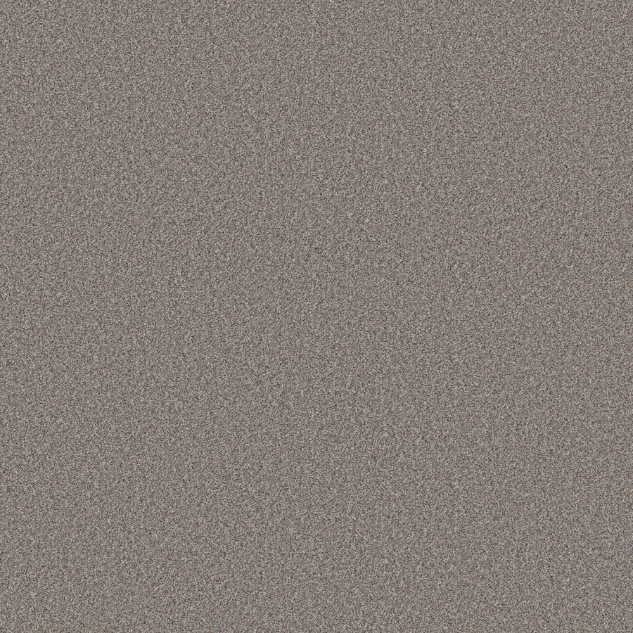 Shaw Floors - Carpet - Simply the Best Values Collection - Wonderland I - 12' - Pier