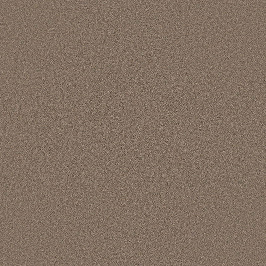 Shaw Floors - Carpet - Simply the Best Values Collection - Wonderland I - 12' - Slate