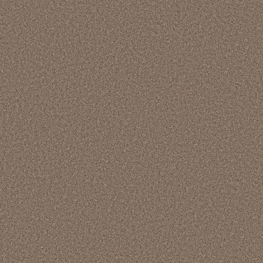 Shaw Floors - Carpet - Simply the Best Values Collection - Wonderland I - 12' - Slate