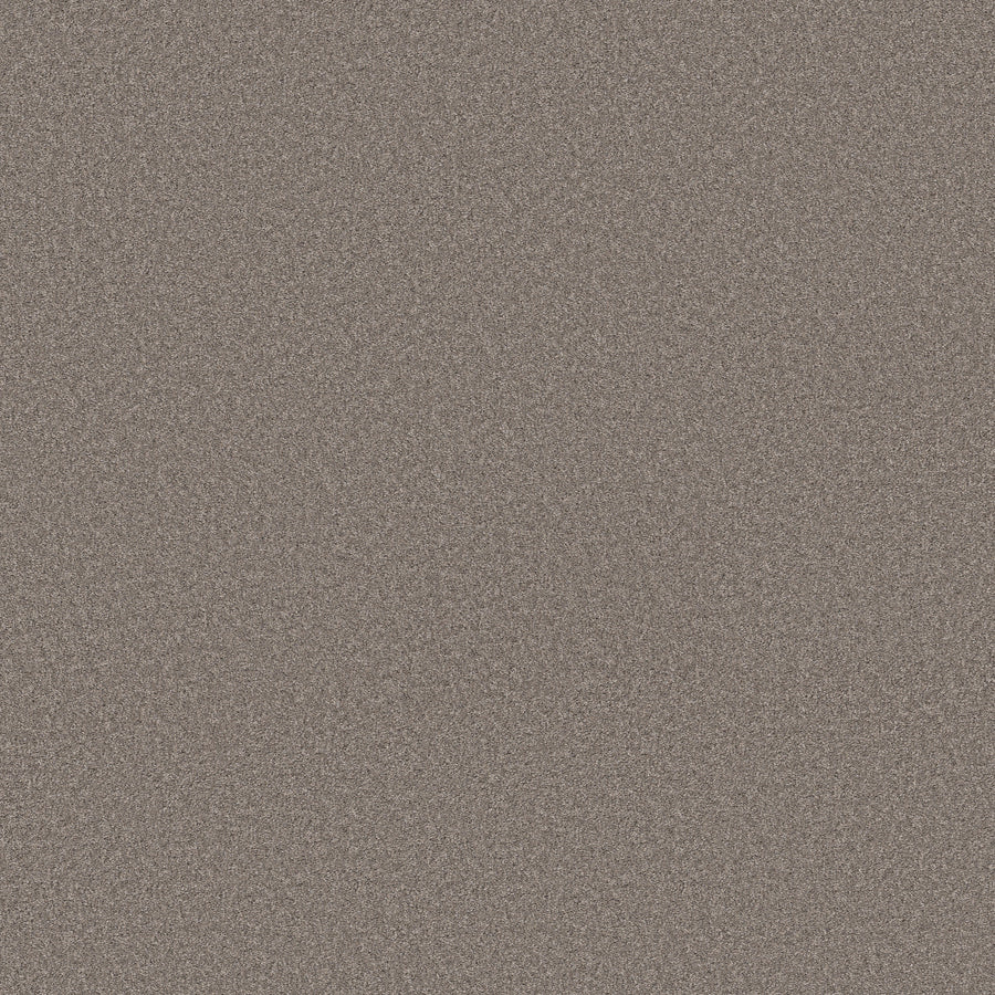 Shaw Floors - Carpet - Simply the Best Values Collection - Wonderland I - 12' - Creek Bed