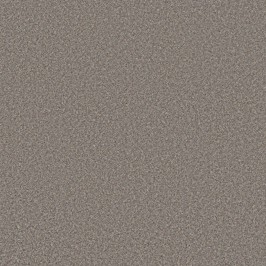 Shaw Floors - Carpet - Wonderland III 12' - 12' - Pier