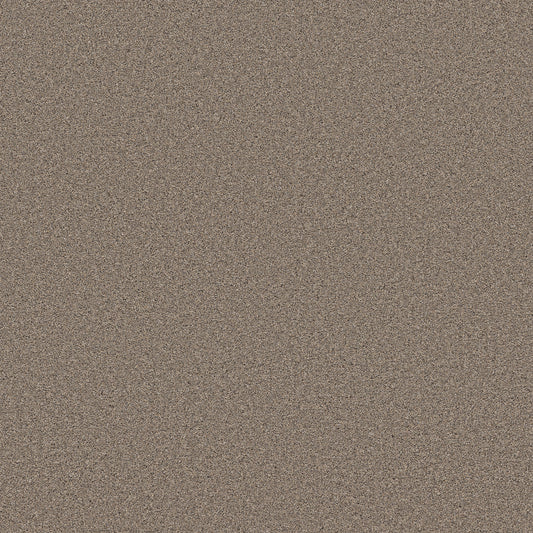 Shaw Floors - Carpet - Wonderland III 12' - 12' - Slate