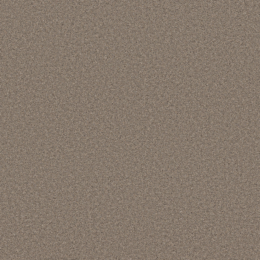 Shaw Floors - Carpet - Wonderland III 12' - 12' - Slate