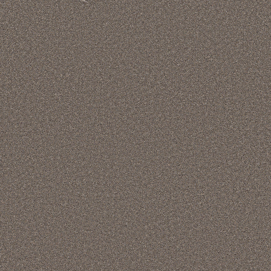 Shaw Floors - Carpet - Wonderland III 12' - 12' - Smoked Tan