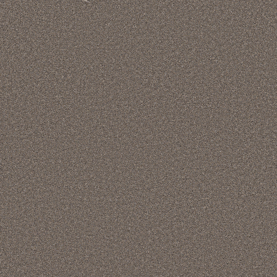 Shaw Floors - Carpet - Wonderland III 12' - 12' - Smoked Tan