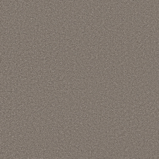Shaw Floors - Carpet - Wonderland III 12' - 12' - Creek Bed