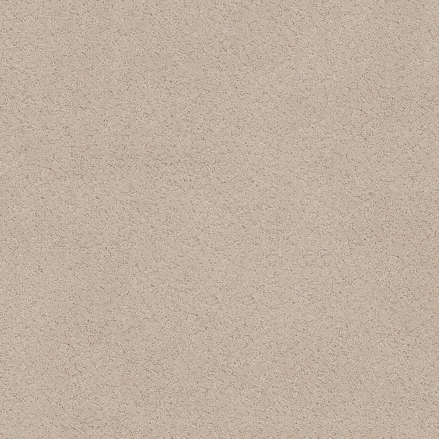 Shaw Floors - Carpet - Pet Perfect+ Collection - Secret Adventure - 12' - Dune View