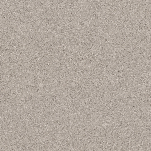 Shaw Floors - Carpet - Pet Perfect+ Collection - Secret Adventure - 12' - Beige Mist