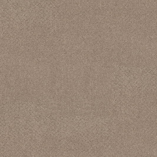 Shaw Floors - Carpet - Pet Perfect+ Collection - Secret Adventure - 12' - Stonecrest