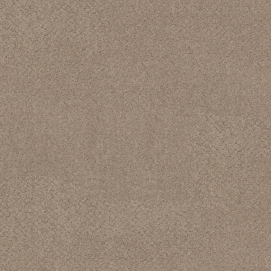 Shaw Floors - Carpet - Pet Perfect+ Collection - Secret Adventure - 12' - Stonecrest