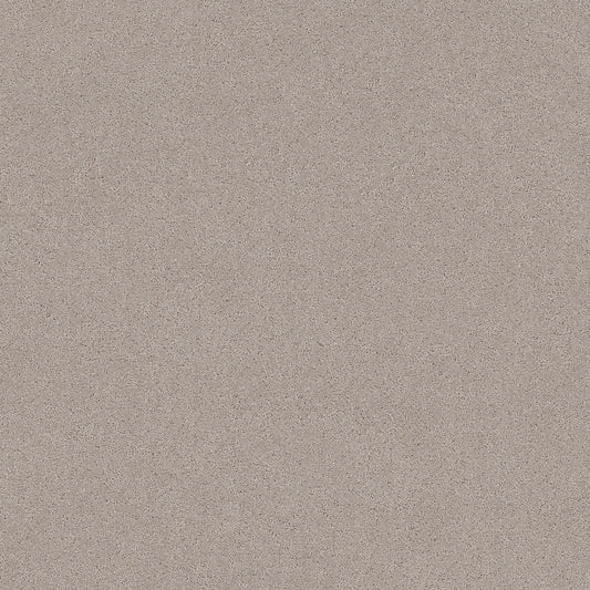 Shaw Floors - Carpet - Pet Perfect+ Collection - Secret Adventure - 12' - Chic Taupe