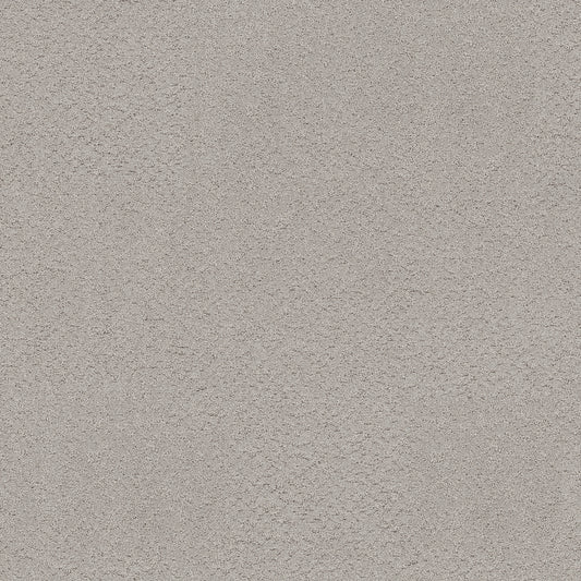 Shaw Floors - Carpet - Pet Perfect+ Collection - Secret Adventure - 12' - Four Winds