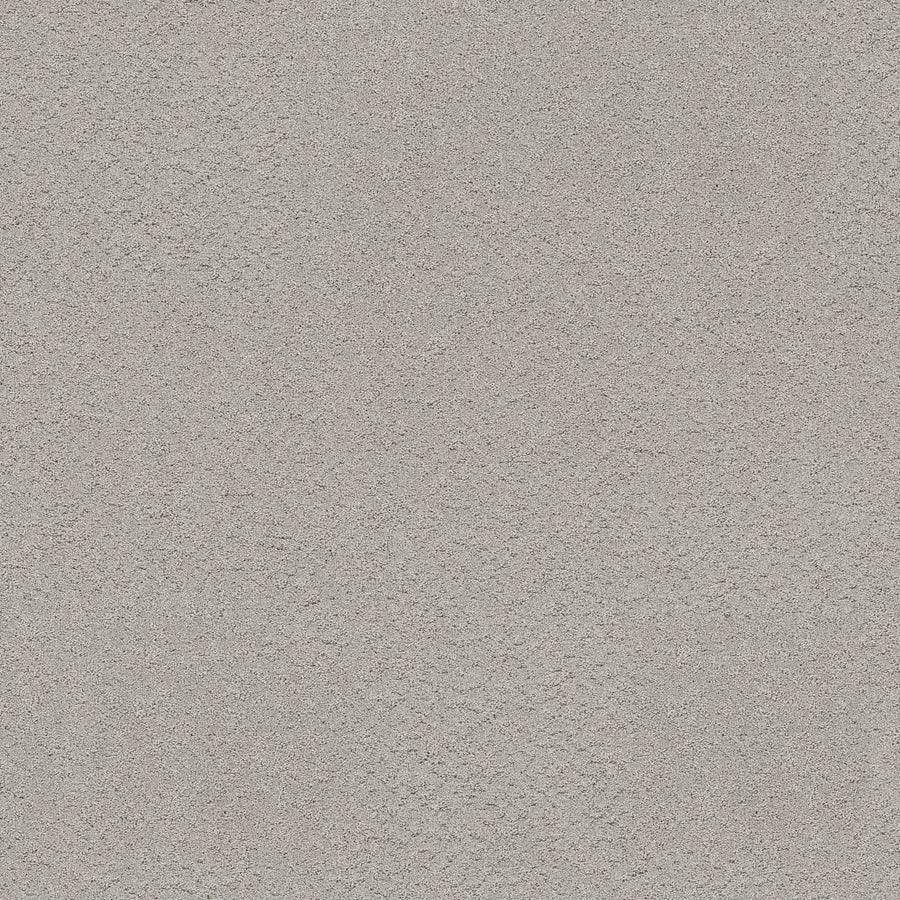 Shaw Floors - Carpet - Pet Perfect+ Collection - Secret Adventure - 12' - Four Winds
