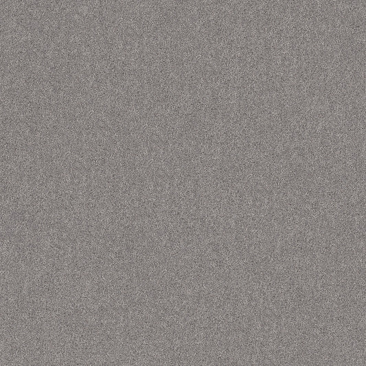 Shaw Floors - Carpet - Pet Perfect+ Collection - Secret Adventure - 12' - Graphic