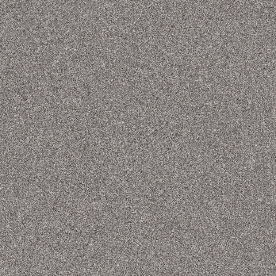 Shaw Floors - Carpet - Pet Perfect+ Collection - Secret Adventure - 12' - Graphic