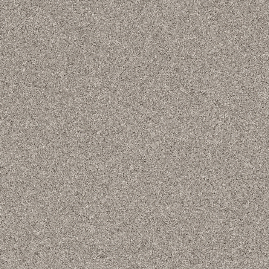 Shaw Floors - Carpet - Pet Perfect+ Collection - Secret Adventure - 12' - Marble