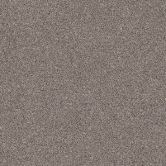 Shaw Floors - Carpet - Pet Perfect+ Collection - Secret Adventure - 12' - Shadows