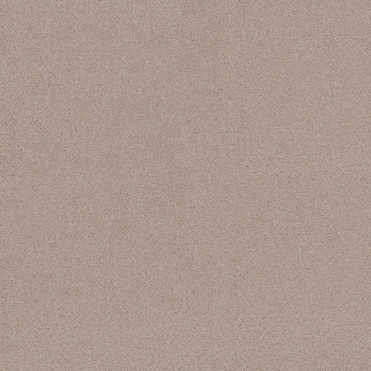 Shaw Floors - Carpet - Pet Perfect+ Collection - Secret Adventure - 12' - Baja