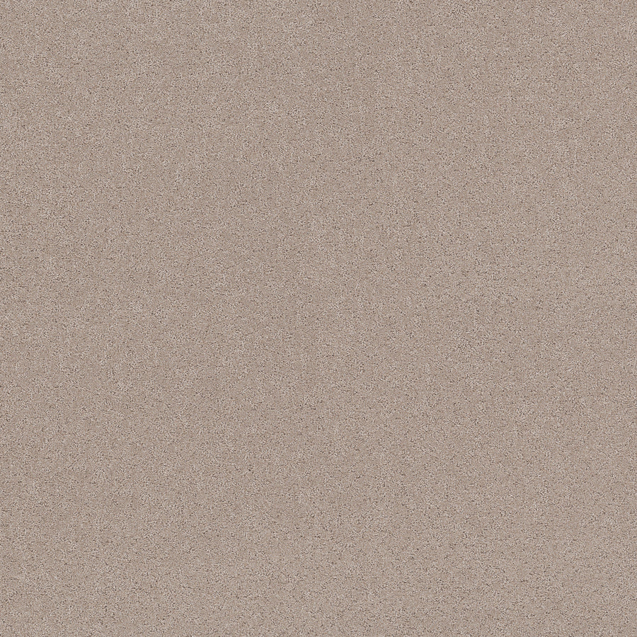 Shaw Floors - Carpet - Pet Perfect+ Collection - Secret Adventure - 12' - Baja