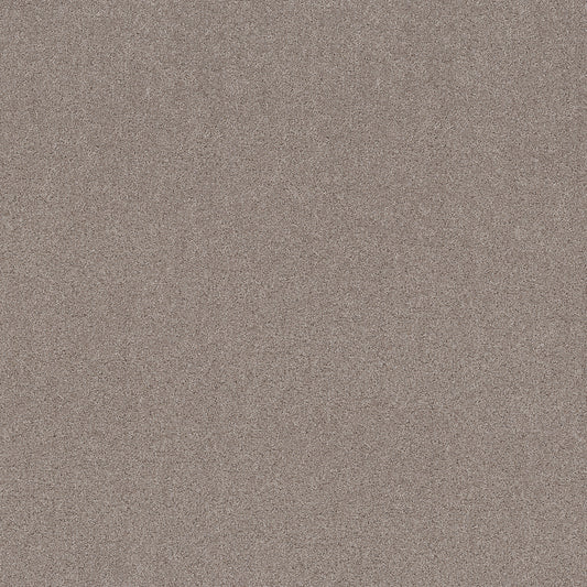 Shaw Floors - Carpet - Pet Perfect+ Collection - Secret Adventure - 12' - Mocha