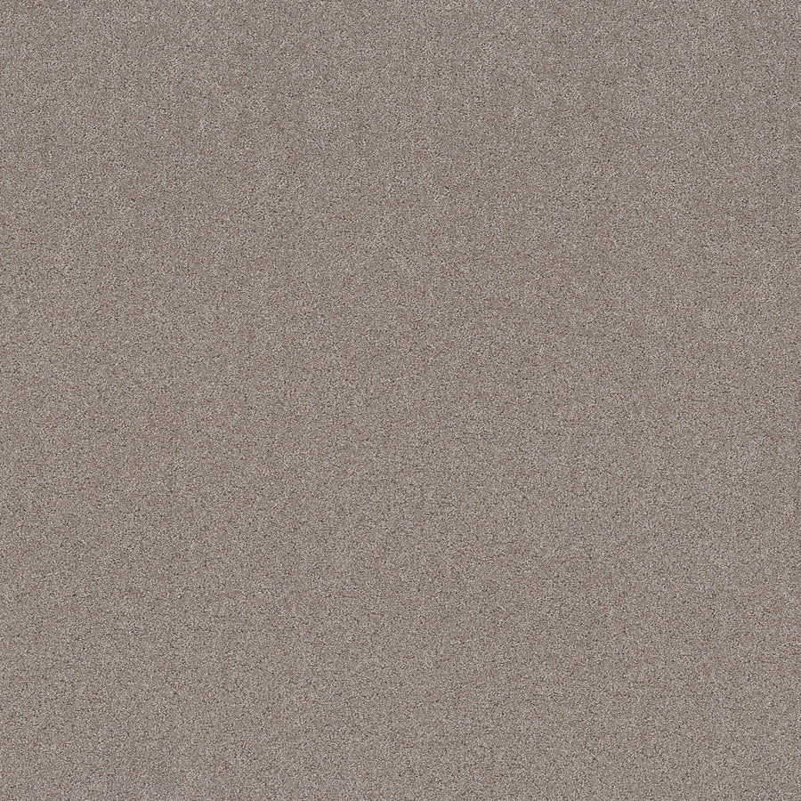 Shaw Floors - Carpet - Pet Perfect+ Collection - Secret Adventure - 12' - Mocha