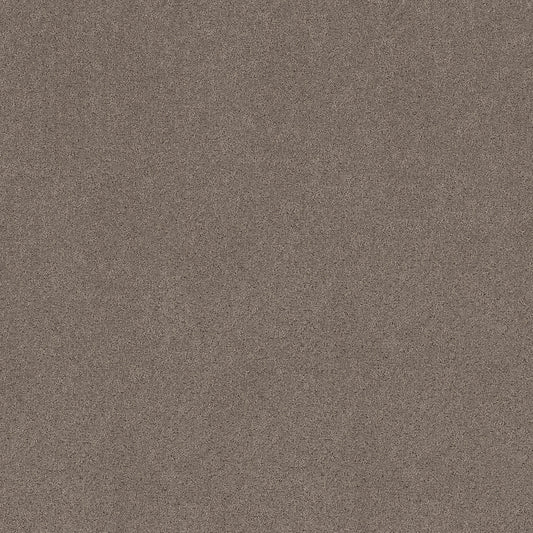 Shaw Floors - Carpet - Pet Perfect+ Collection - Secret Adventure - 12' - Hideaway