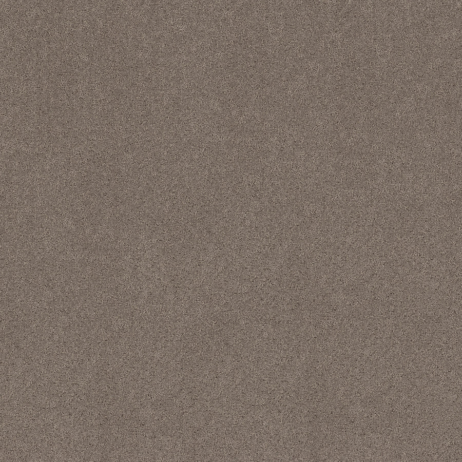 Shaw Floors - Carpet - Pet Perfect+ Collection - Secret Adventure - 12' - Hideaway