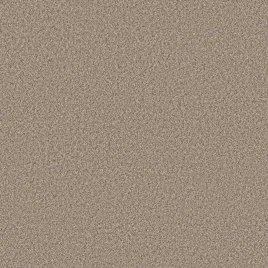 Shaw Floors - Carpet - Pet Perfect Collection - Grand Influence I - 12' - Stucco