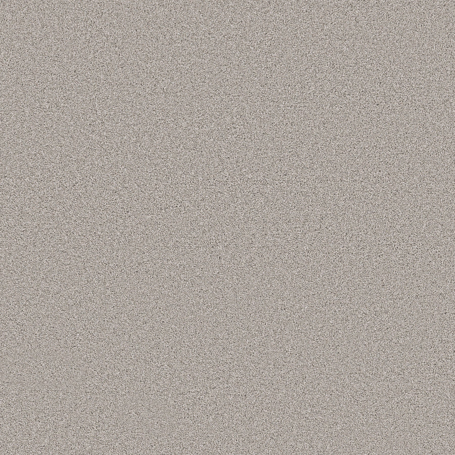 Shaw Floors - Carpet - Pet Perfect Collection - Grand Influence I - 12' - Gentle Wind