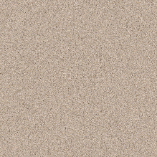 Shaw Floors - Carpet - Pet Perfect Collection - Grand Influence I - 12' - Satin Shimmer