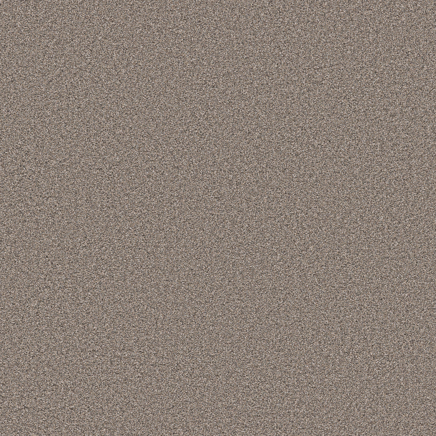 Shaw Floors - Carpet - Pet Perfect Collection - Grand Influence I - 12' - Stepping Stone