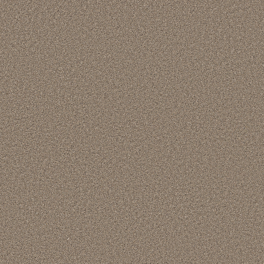 Shaw Floors - Carpet - Pet Perfect Collection - Grand Influence I - 12' - Summer Straw