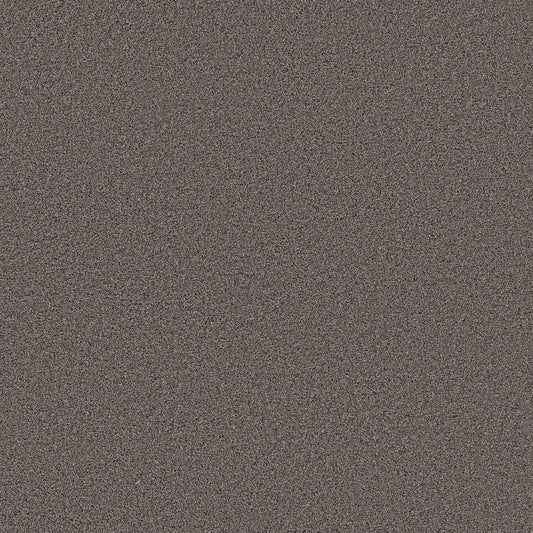 Shaw Floors - Carpet - Pet Perfect Collection - Grand Influence I - 12' - Knighthood