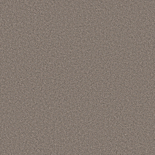 Shaw Floors - Carpet - Pet Perfect Collection - Grand Influence I - 12' - Castle Rock