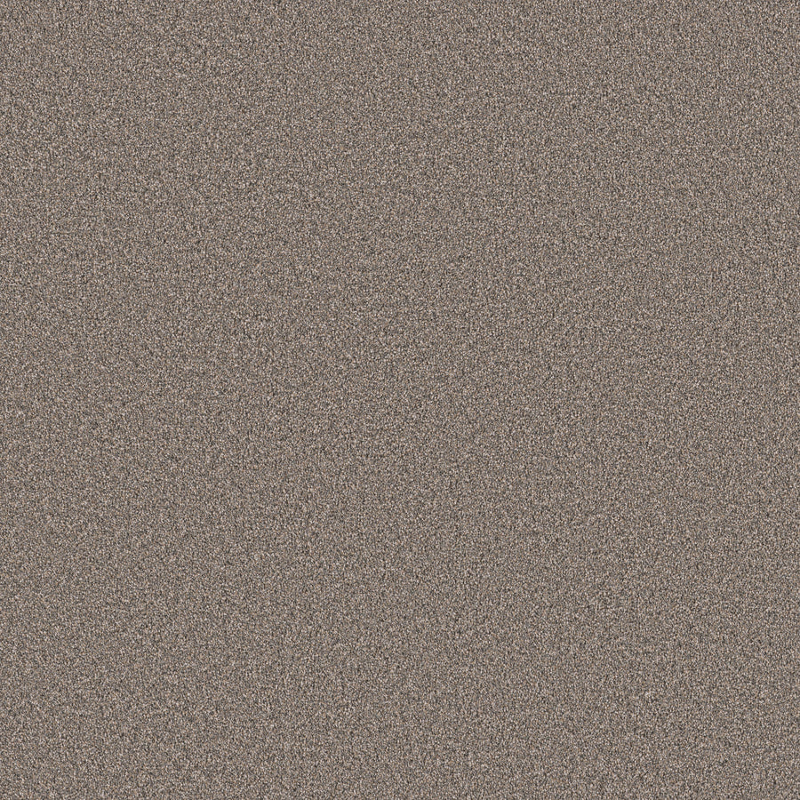 Shaw Floors - Carpet - Pet Perfect Collection - Grand Influence I - 12' - Castle Rock