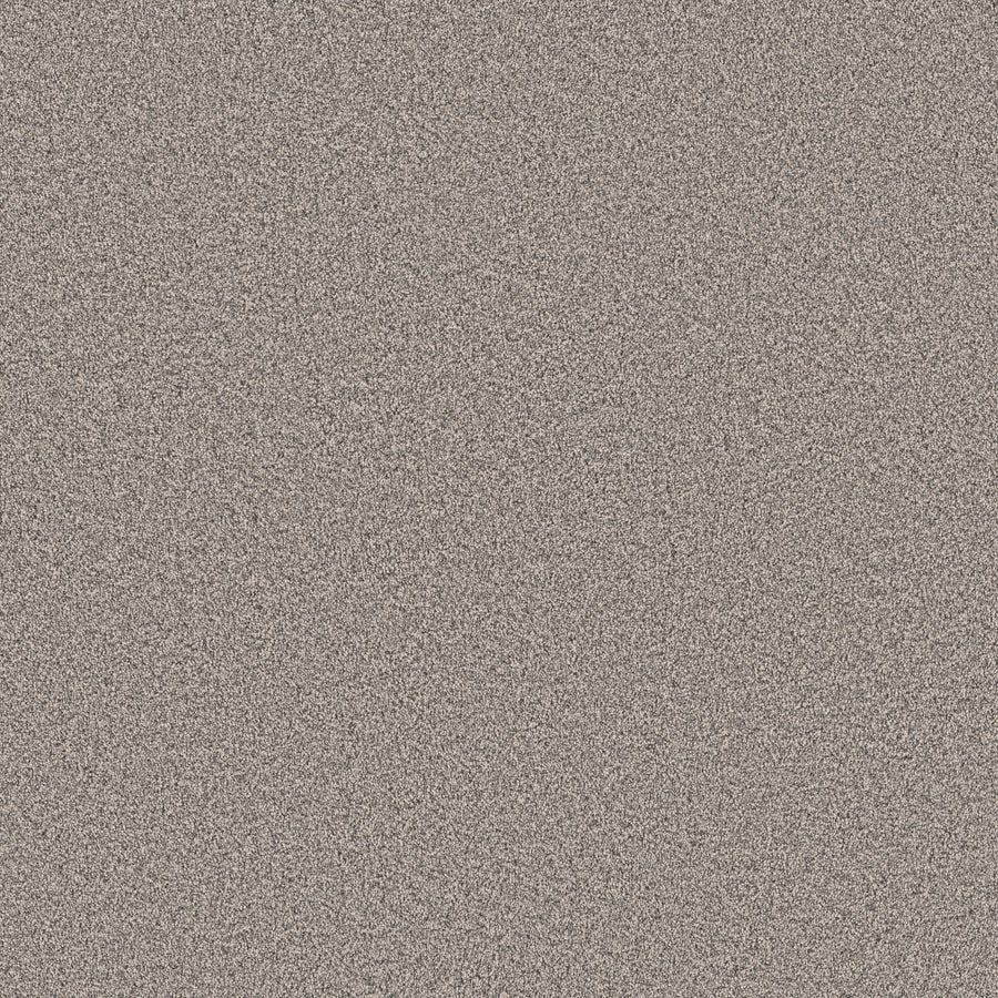 Shaw Floors - Carpet - Pet Perfect Collection - Grand Influence I - 12' - Platinum