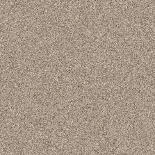 Shaw Floors - Carpet - Pet Perfect Collection - Grand Influence I - 12' - Sand Hill
