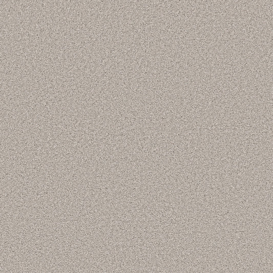 Shaw Floors - Carpet - Pet Perfect Collection - Grand Influence II - 12' - Fresco