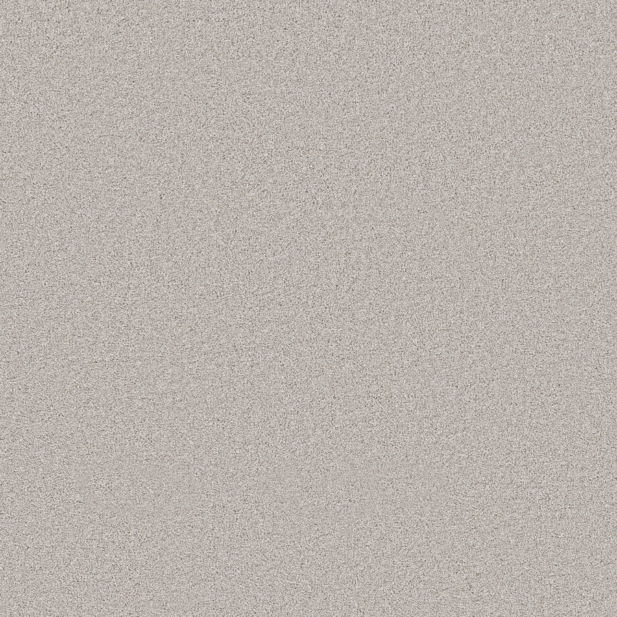 Shaw Floors - Carpet - Pet Perfect Collection - Grand Influence II - 12' - London Fog