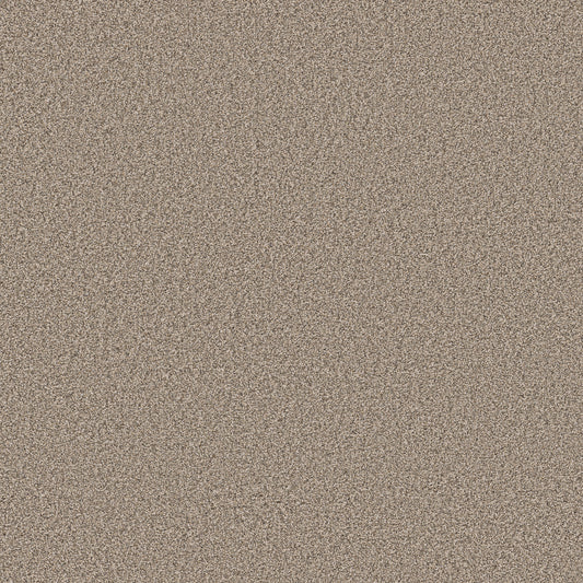 Shaw Floors - Carpet - Pet Perfect Collection - Grand Influence II - 12' - Stucco