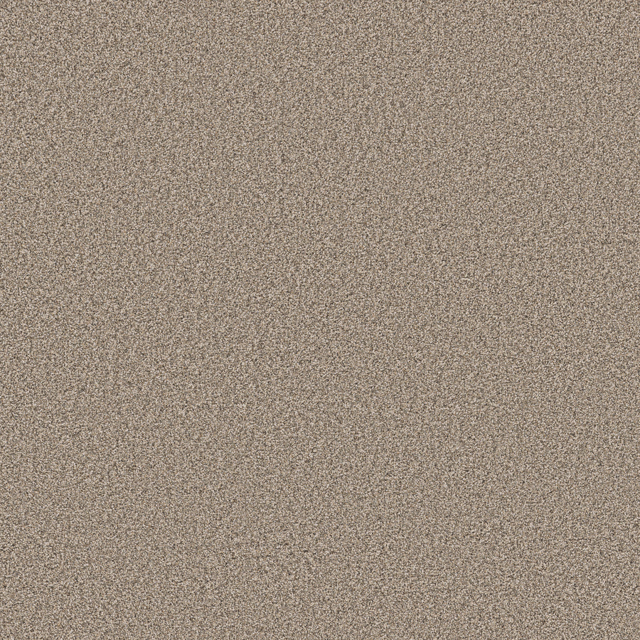 Shaw Floors - Carpet - Pet Perfect Collection - Grand Influence II - 12' - Stucco